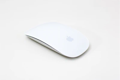 Online Search and Social Media